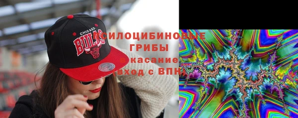 дурь Лагань