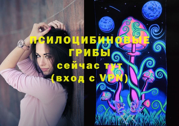 apvp Ладушкин