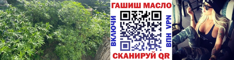 Дистиллят ТГК концентрат  как найти   Альметьевск 