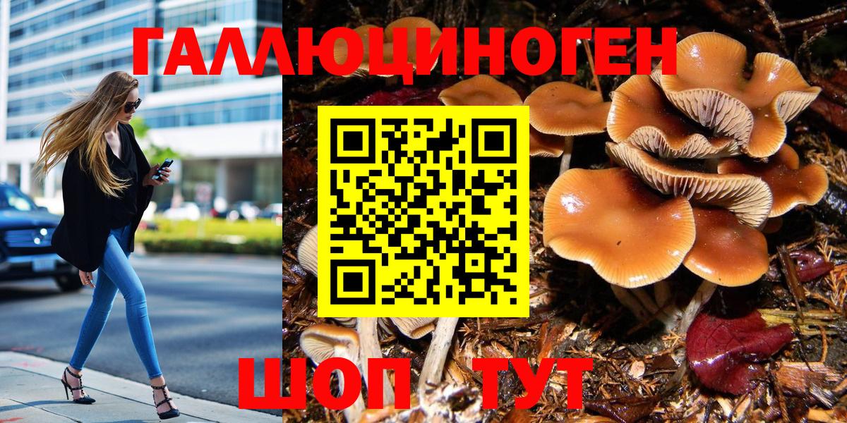 Псилоцибиновые грибы Psilocybine cubensis Альметьевск