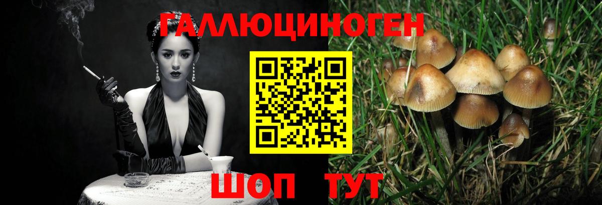 Галлюциногенные грибы Cubensis  Альметьевск 